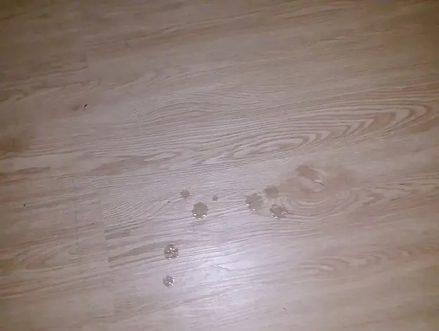 Auf dem Fussboden gespritzt
