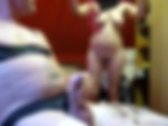 cam show anziehen