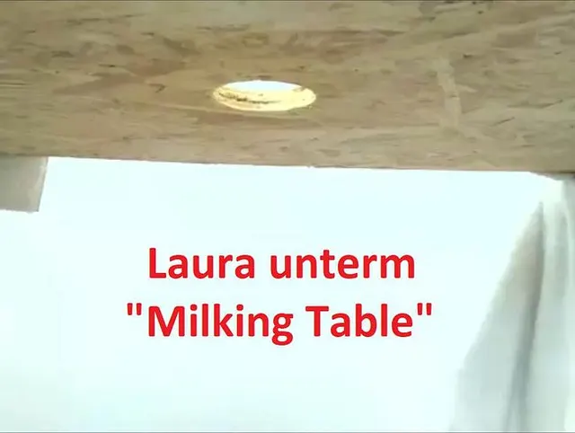 Milking Table mit einem User