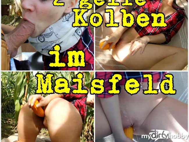 2 geile Kolben im Maisfeld