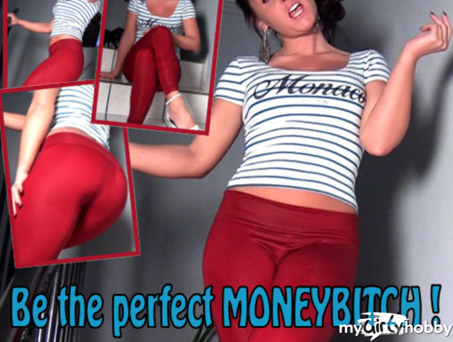 Be the perfect Moneybitch