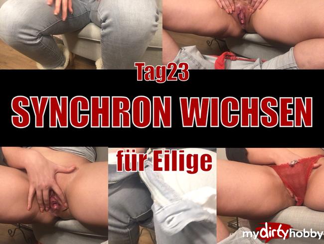 Tag 23 - SYNCHRON WICHSEN