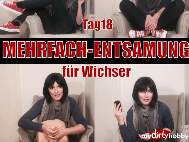 Tag18 - MEHRFACH-ENTSAMUNG, für Wichser