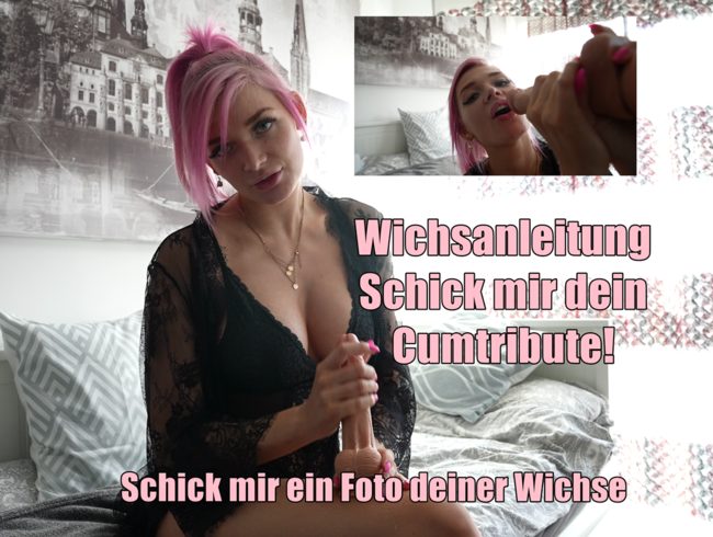 Wichsanleitung - Ich will dein Cumtribute!