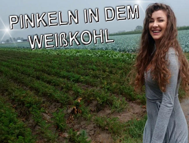 PINKELN IN DEM WEIßKOHL